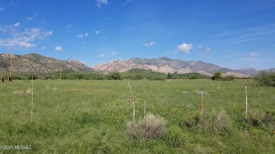 Newland & S. Palm Rd (2)