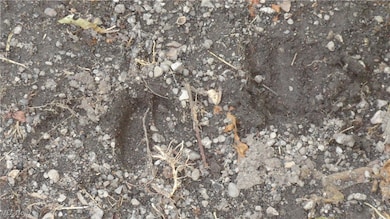 TBD Glendale Rd, New Cumberland, WV 26047 - photo 5