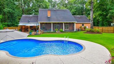 Back Yard 2