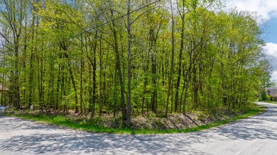 Seen from the Corner of CWL Drive and Br