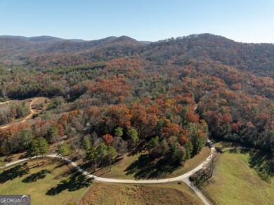 Lot 3 Spring Camp Rd, Ellijay, GA 30536 - photo 6