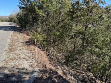 15 Mohawk Ln unit 12, Holiday Island, AR 72631 - photo 7