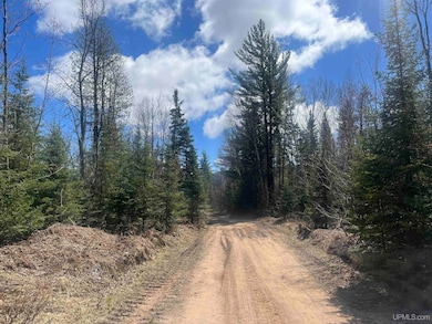 480 Acres Off Cr Aaa Rd, Michigamme, MI 49861 - photo 6