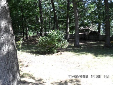 Additional Photo