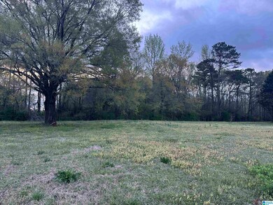 0 Brookside Ln unit 1 21414739, Oxford, AL 36203 - photo 4