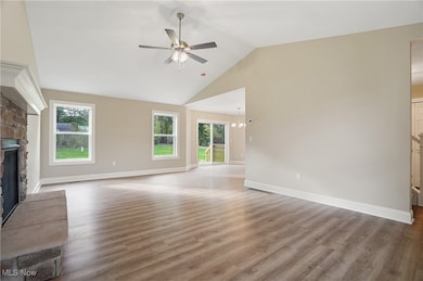 4133 State Route 225, Diamond, OH 44412 - photo 7