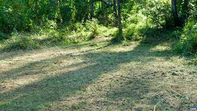 0 Red Hill Heights Rd, North Garden, VA 22959 - photo 3