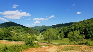 2301 Paint Fork Rd, Mars Hill, NC 28754 - photo 2