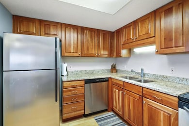 20 2nd St NE unit P504, Minneapolis, MN 55413 - photo 7