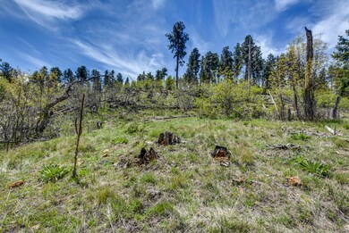 Possible Home Site