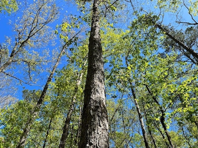 00 Weoka Rd, Wetumpka, AL 36093 - photo 2