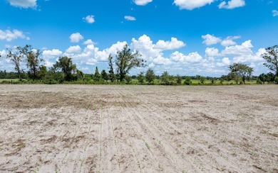 TBD 148th St, Live Oak, FL 32060 - photo 7