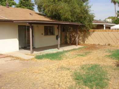 Back Yard 2