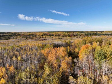 NEAR Rocky Run Rd, Harshaw, WI 54529 - photo 5