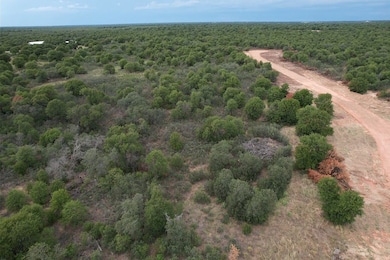 Tbd Pr 368, Hawley, TX 79525 - photo 6
