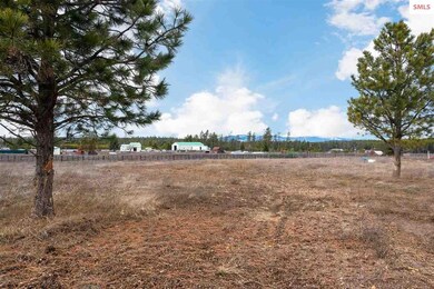 6823 E Trinity Ln, Athol, ID 83801 - photo 3