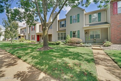 11 Stuart Dr. #6