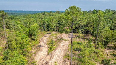Tract 6 Harmony Mountain Rd, Clinton, AR 72031 - photo 4