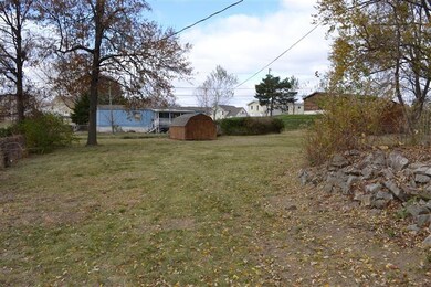Backyard Pic 1