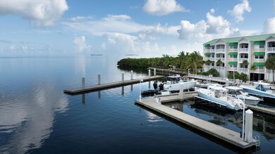 Tarpon 5 Dock