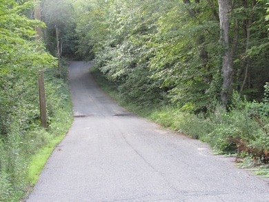 7 Stadler Heights, Winsted, CT 06098 - photo 2