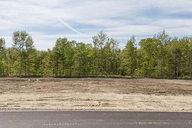 mls_DJI_20250603151021_0889_D (1)