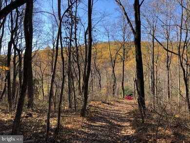 0 Gid Brown Hollow Rd unit VARP2000702, Washington, VA 22747 - photo 3