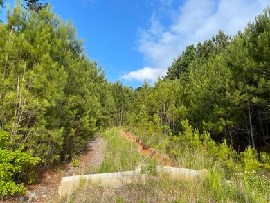 00 Crow Valley Rd, Tunnel Hill, GA 30755 - photo 3