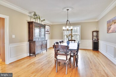 21793 Iannis Spring Dr, Ashburn, VA 20148 - photo 5