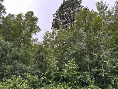 0 Dana Rd, Barnes, WI 54873 - photo 5