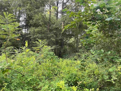 TBD Fm 16, Winona, TX 75792 - photo 2