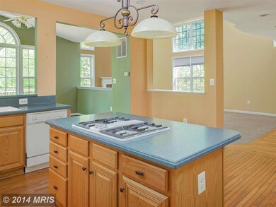 21532 Chickacoan Trail Dr, Broadlands, VA 20148 - photo 5