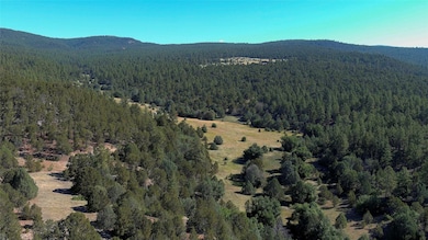 17 Wild Wings Cir, Pecos, NM 87552 - photo 2