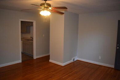 105 Ingle St, Siler City, NC 27344 - photo 7