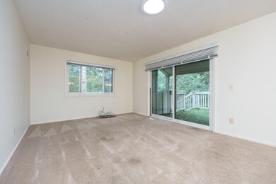 Cedaridge_Rd_3774_Kalamazoo_49008-4