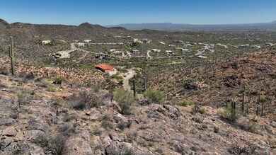 #28C=3.93 AC LOT (4)