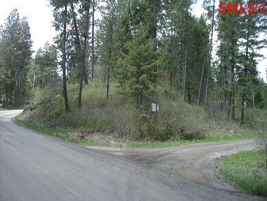 1695 Kelso Lake Rd, Athol, ID 83801 - photo 2