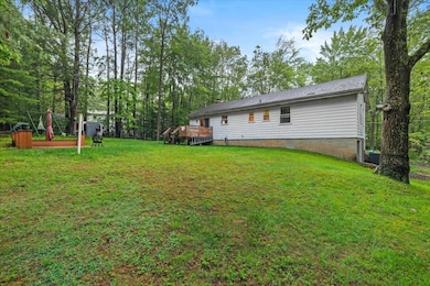 Expansive Back Yard