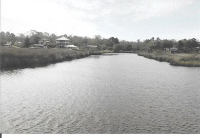 Bayou Sauvolle0006