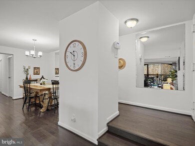 11248 Chestnut Grove Square unit 249, Reston, VA 20190 - photo 3