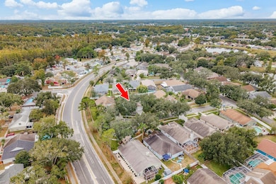 3304 Red Mulberry Ct, Tampa, FL 33618 - photo 5