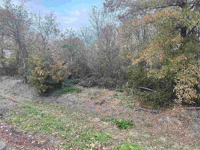 0 Main St, Alicia, AR 72410 - photo 4