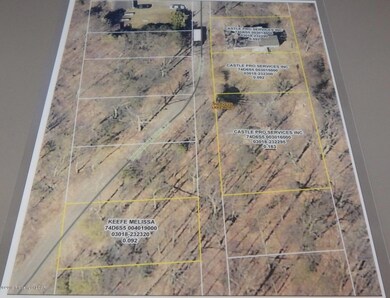 14 &15 Trolley Hill, Harveys Lake, PA 18618 - photo 5