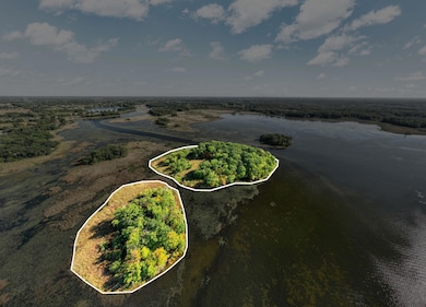 snake island with outline