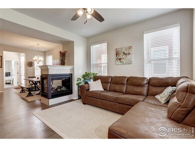 14158 Harrison St, Thornton, CO 80602 - photo 4