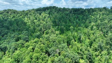 1470 Big Branch Rd, Bluefield, VA 24605 - photo 3