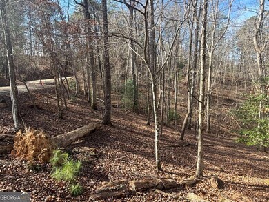 LT 727 Armor Ct, Ellijay, GA 30540 - photo 7