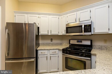 4408 Helmsford Ln unit 106, Fairfax, VA 22033 - photo 4