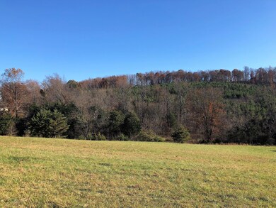 5.9 Ac. - Forest Grove Rd unit 703, Lexington, VA 24450 - photo 4