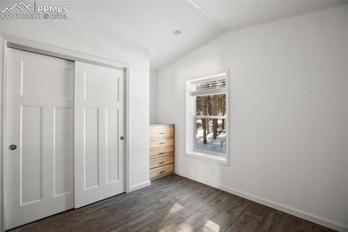 Bedroom with a closet and vaulted ceiling